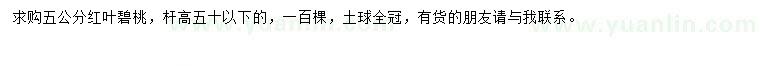求購(gòu)5公分紅葉碧桃