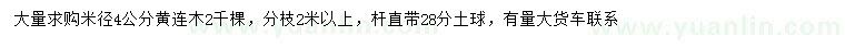 求購米徑4公分黃連木