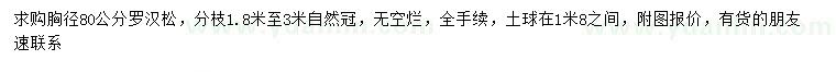 求購胸徑80公分羅漢松