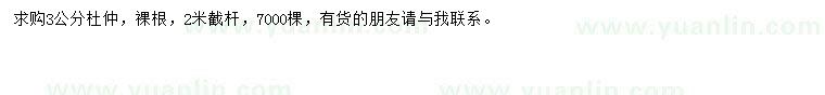 求購3公分杜仲