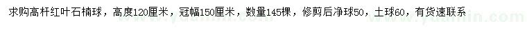 求購冠幅150公分高桿紅葉石楠球