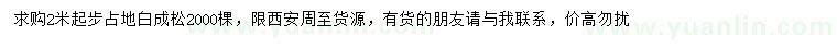 求購2米以上白皮松