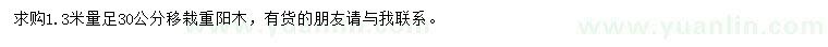 求購1.3米量30公分重陽木