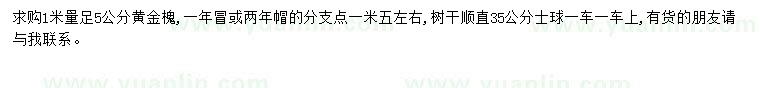 求購1米量5公分黃金槐