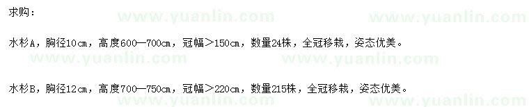 求購胸徑10、12公分水杉