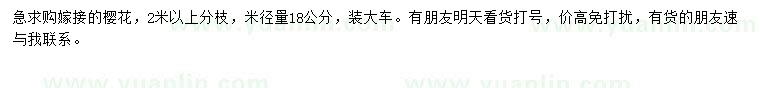 求購米徑18公分櫻花
