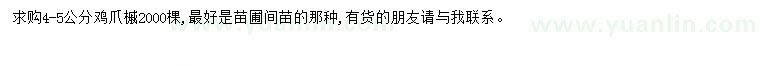 求購(gòu)4-5公分雞爪槭