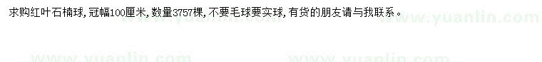 求購冠幅100公分紅葉石楠球