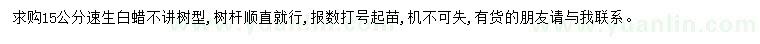 求購15公分速生白蠟