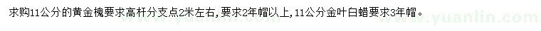 求購11公分黃金槐、金葉白蠟