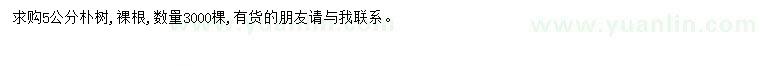 求購(gòu)5公分樸樹(shù)