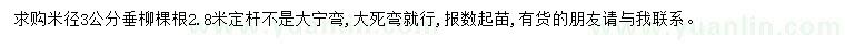 求購米徑3公分垂柳