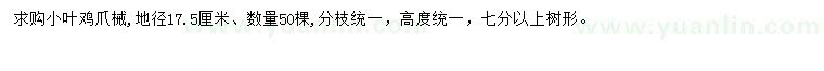 求購地徑17.5公分小葉雞爪槭