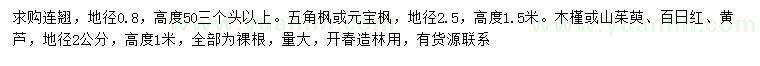求購連翹、五角楓、元寶楓等