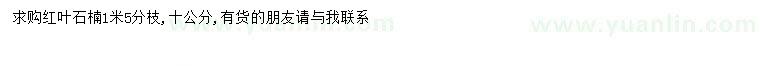 求購(gòu)10公分紅葉石楠