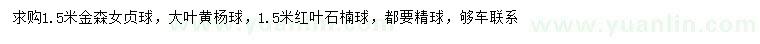 求購金森女貞球、大葉黃楊球、紅葉石楠球