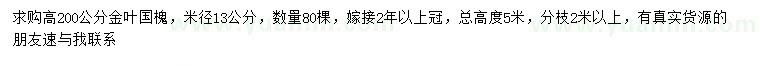 求購(gòu)米徑13公分金葉國(guó)槐