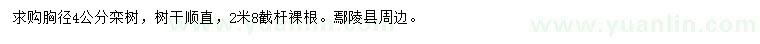 求購胸徑4公分欒樹
