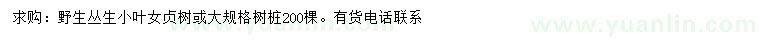 求購小葉女貞樹