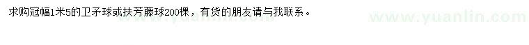 求購冠幅1.5米衛(wèi)矛球、扶芳藤球