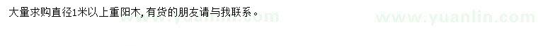 求購1米以上重陽木