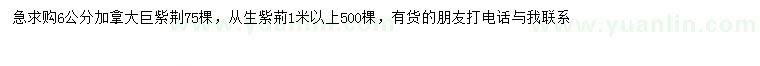 求購(gòu)6公分加拿大巨紫荊、1米以上叢生紫荊