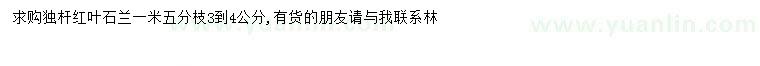 求購3-4公分紅葉石楠