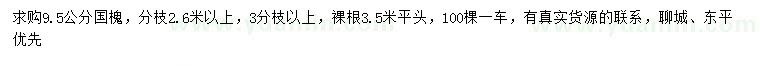 求購9.5公分國槐