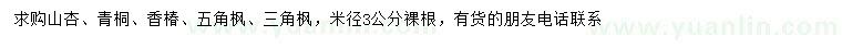 求購山杏、青桐、香椿等