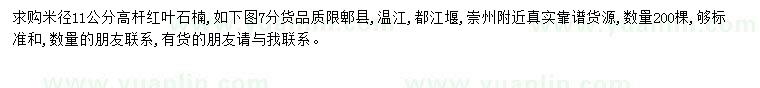 求購(gòu)米徑11公分高桿紅葉石楠