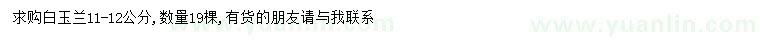 求購11-12公分白玉蘭