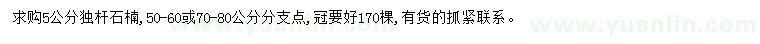 求購5公分獨桿石楠