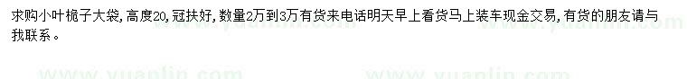 求購高20公分小葉桅子
