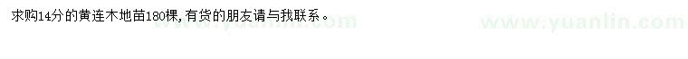 求購14公分黃連木
