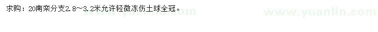 求購(gòu)20公分南欒
