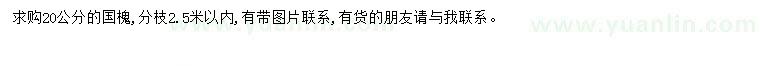求購(gòu)20公分國(guó)槐
