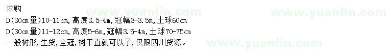 求購30量10-11、11-12公分元寶楓