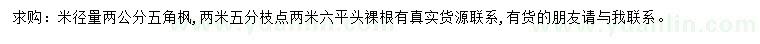 求購米徑2公分五角楓