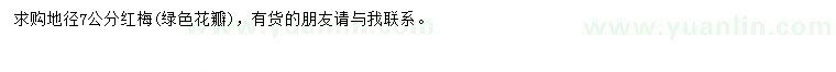 求購地徑7公分紅梅