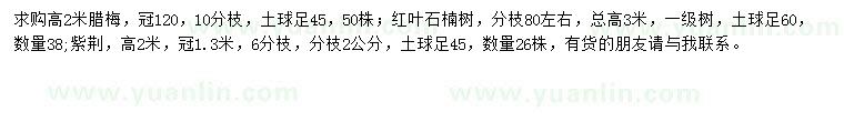 求購臘梅、紅葉石楠、紫荊