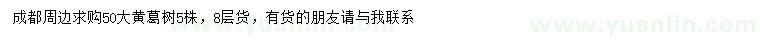 求購50公分黃葛樹