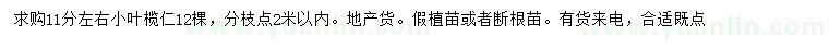求購11分小葉欖仁