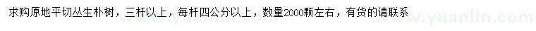 求購三桿以上叢生樸樹