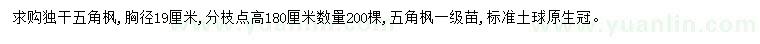 求購胸徑19公分五角楓