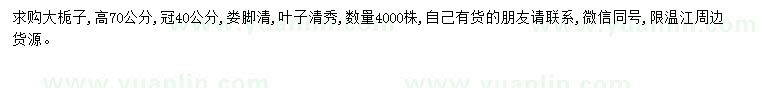 求購(gòu)高70公分大梔子