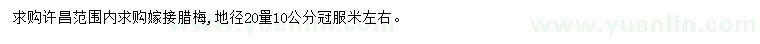 求購20量10公分臘梅