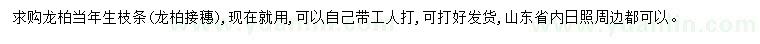 求購龍柏當(dāng)年生枝條