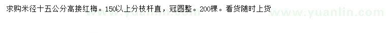 求購(gòu)米徑15公分高接紅梅