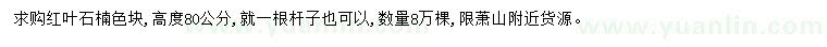 求購高80公分紅葉石楠