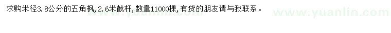 求購米徑3.8公分五角楓